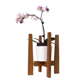 Walnut planter with orchid in white pot
